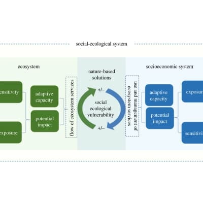 Ecological system flow diagram