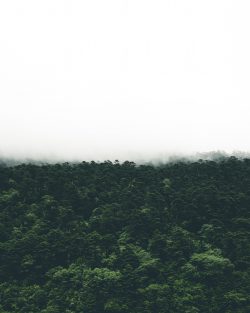 Cloud forest & páramo NbS for water security in Colombia