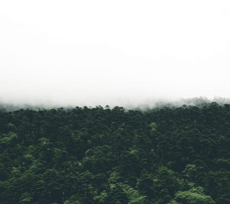  Description coming soon