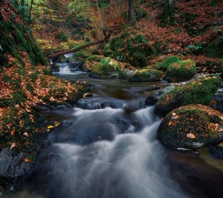  Description coming soon