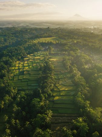 Economic and social constraints on reforestation for climate mitigation in Southeast Asia
