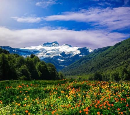  Description coming soon