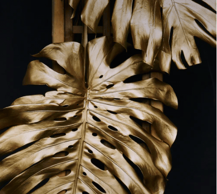  Description coming soon