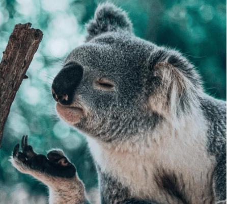  Description coming soon