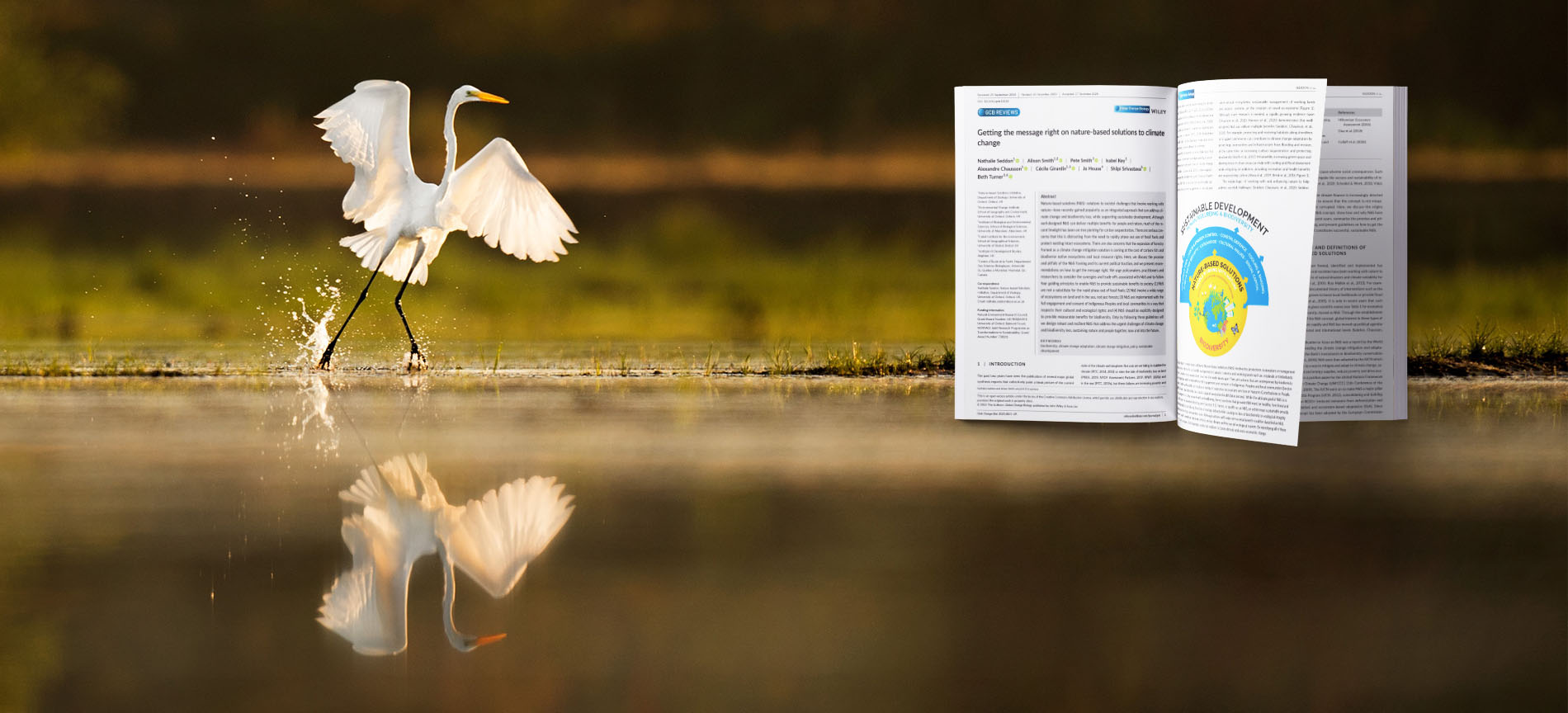 Photo of bird and our GCB paper
