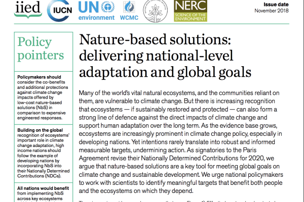  Description coming soon