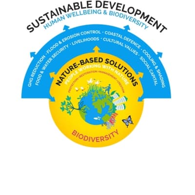 Diagram explaining what NbS are