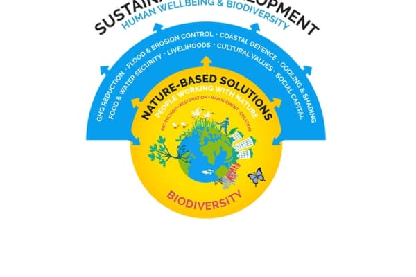 Diagram explaining what NbS are