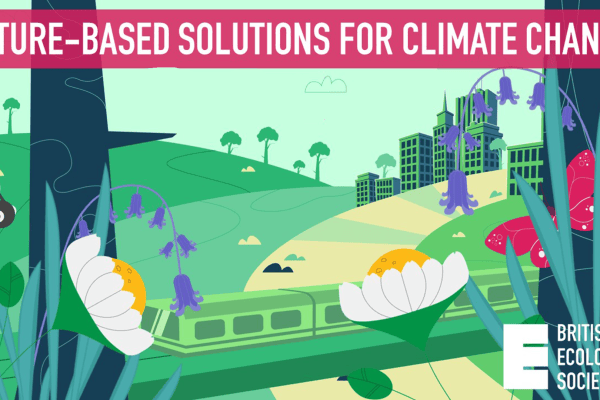  Description coming soon