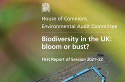 Bloom or bust? UK Biodiversity report says more action needed