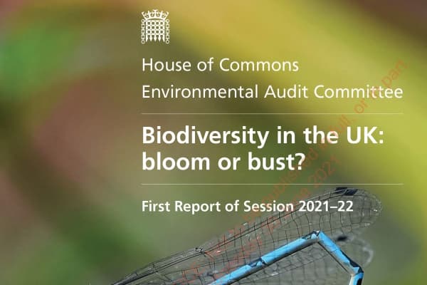  Description coming soon