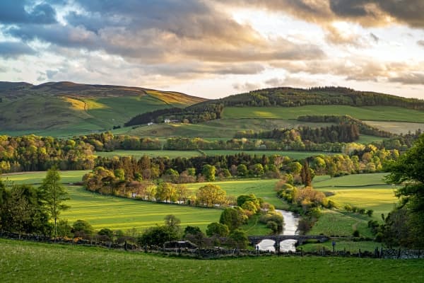  Description coming soon