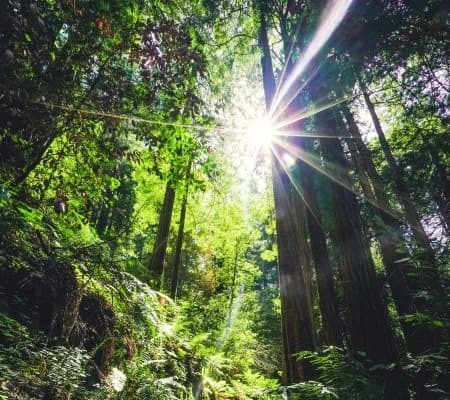  Description coming soon