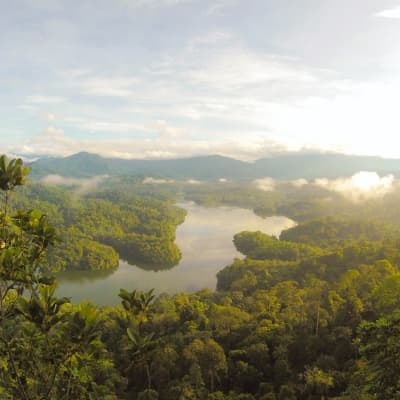 River in the rainforest