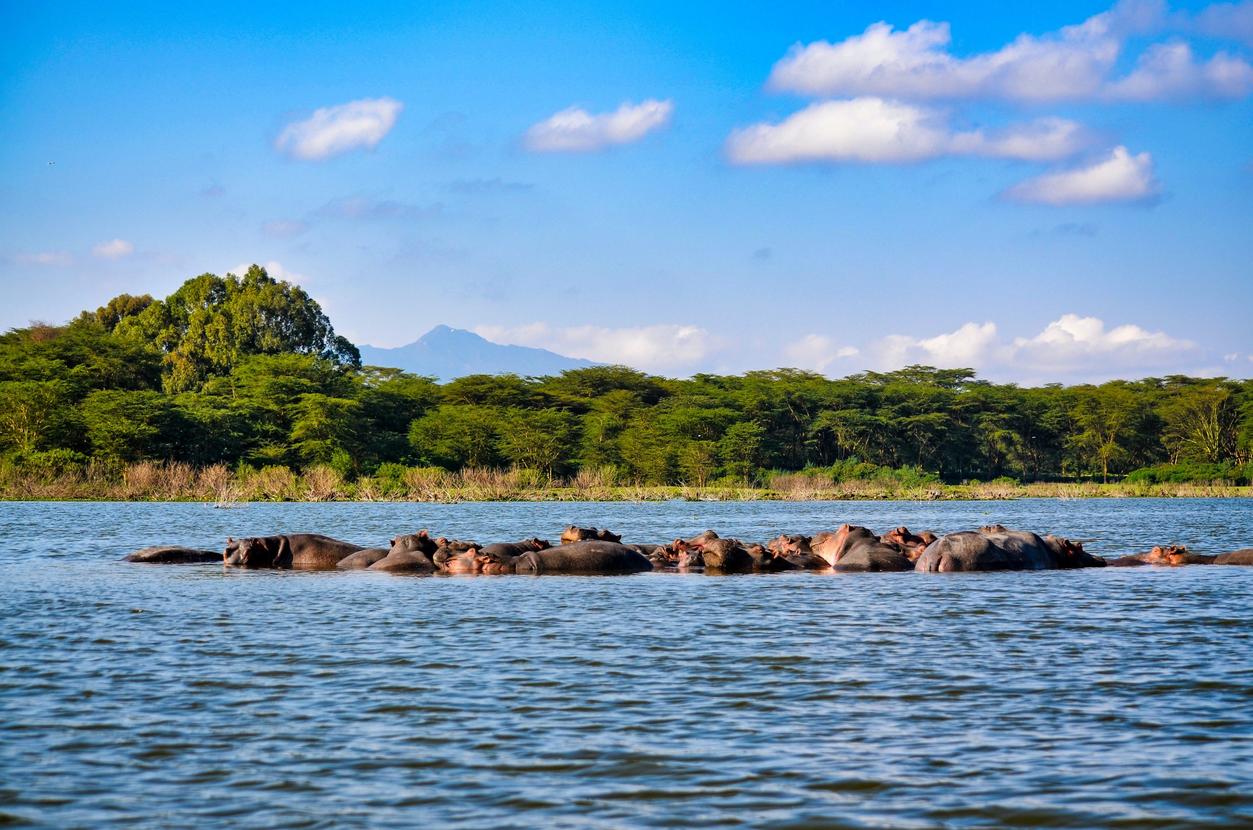 Ecosystem-based adaptation in Lake Victoria Basin, Kenya