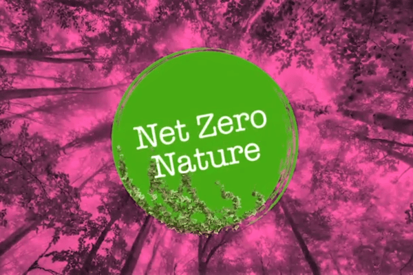  Description coming soon