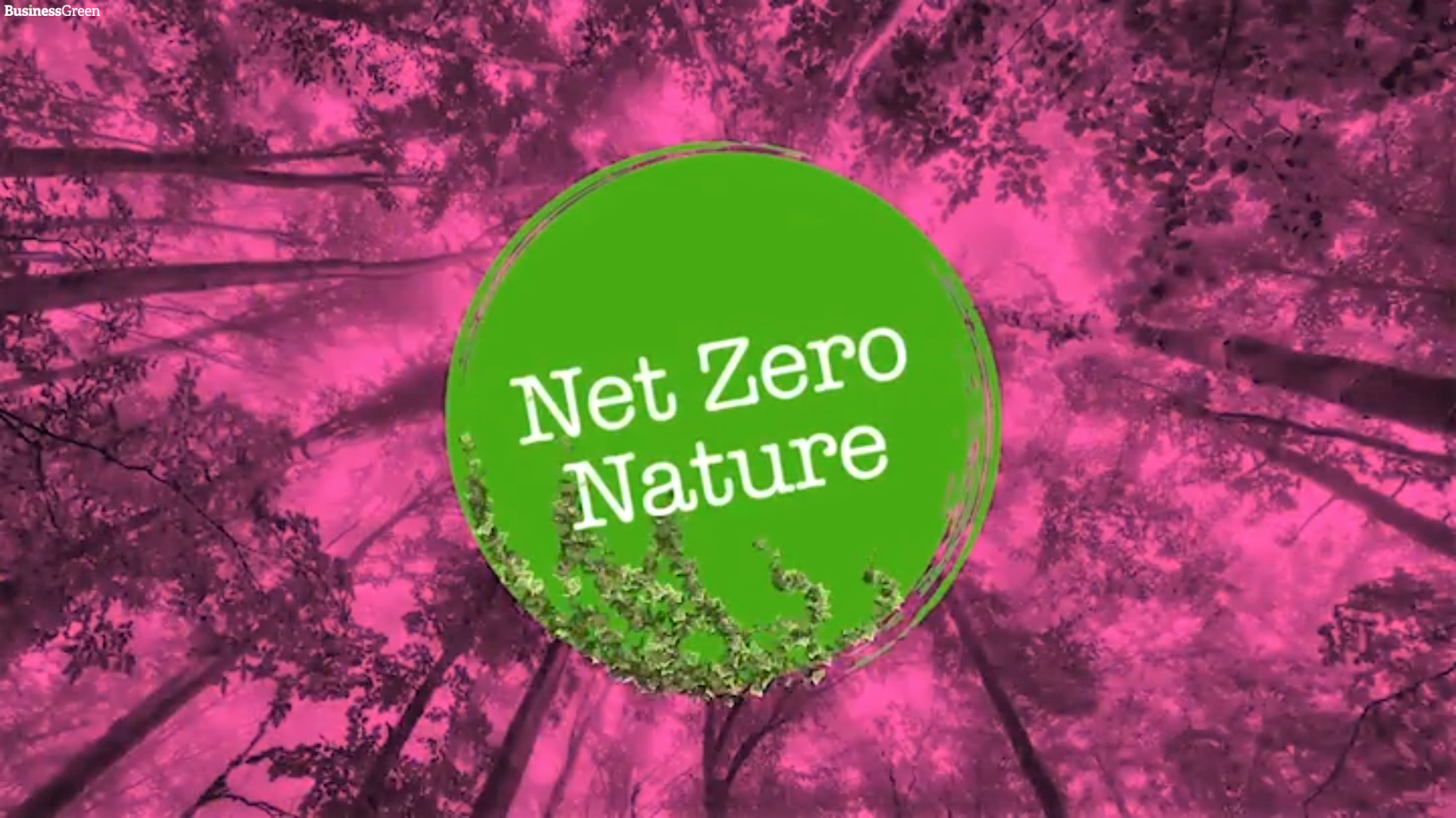 Net Zero Nature summit: Can carbon offsets be credible?