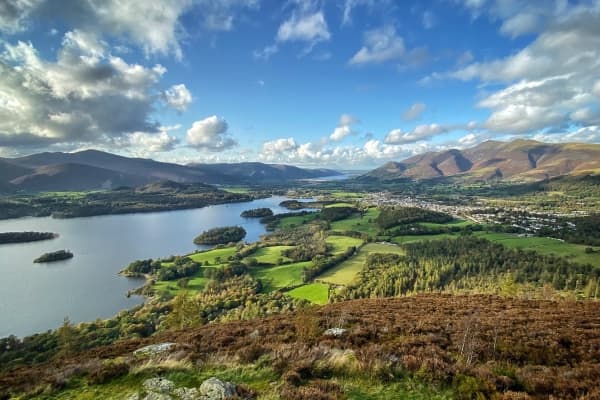  Description coming soon