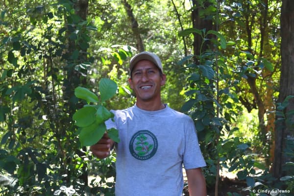  Description coming soon