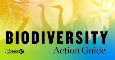 Nature Conservancy Biodiversity Action Guide released