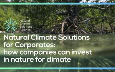 NCS Alliance carbon credit report graphic
