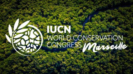 IUCN Congress builds momentum on nature-based solutions for biodiversity conservation and climate action