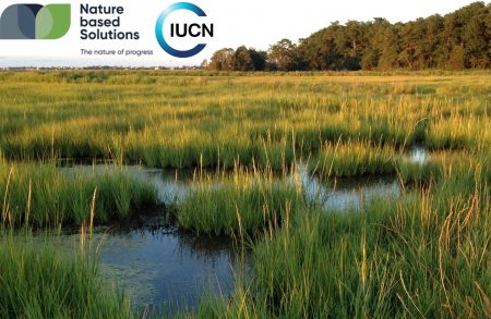 IUCN annouces collaborative certification scheme for Nature-based Solutions