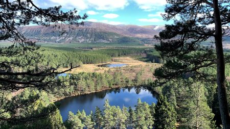 New Scottish land restoration project in Affric Highlands