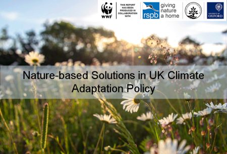 NbSI-WWF-RSPB report on Nature-based Solutions in UK Climate Adaptation Policy