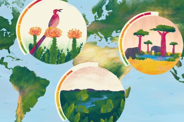  Description coming soon