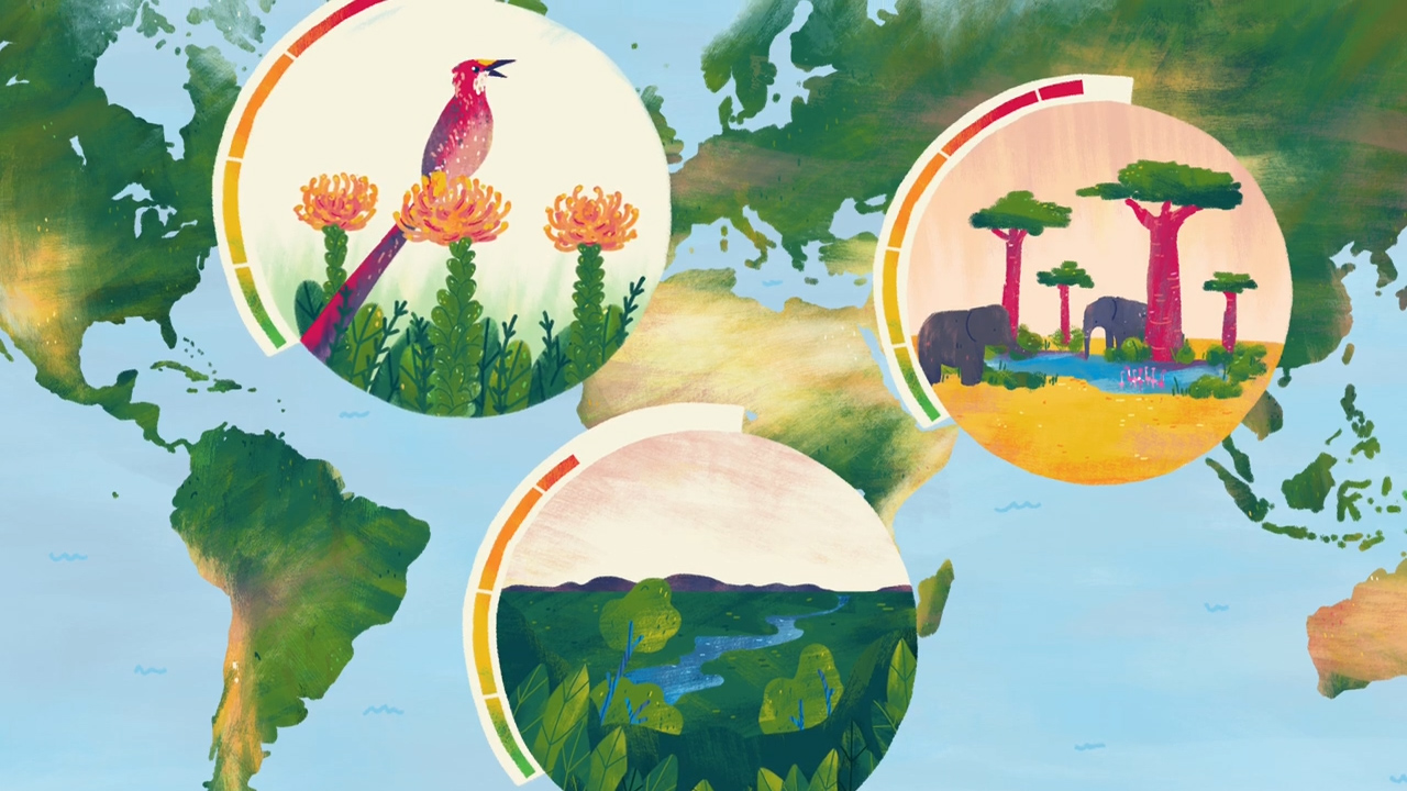 Sir David Attenborough animation marks Royal Society biodiversity launch