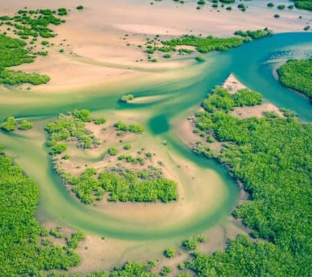  Description coming soon