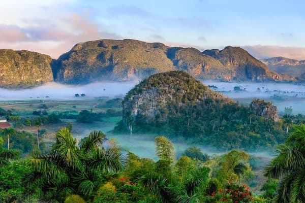  Description coming soon