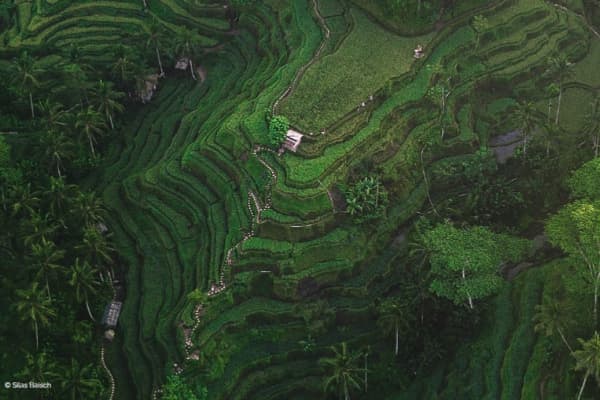  Description coming soon