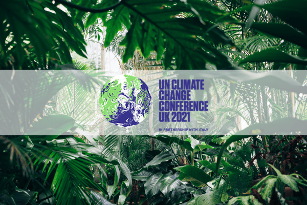  Description coming soon