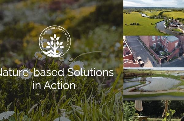 Still for film title