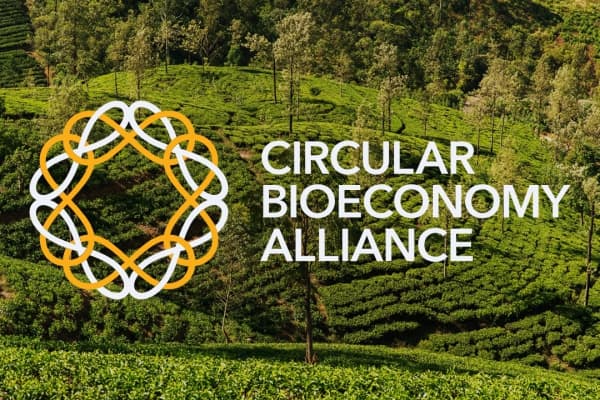  Description coming soon