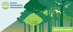 Sink or swim: Forest Declaration Platform report on the role of IPLCs for NDCs
