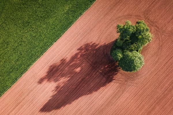  Description coming soon