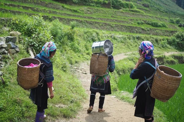  Description coming soon