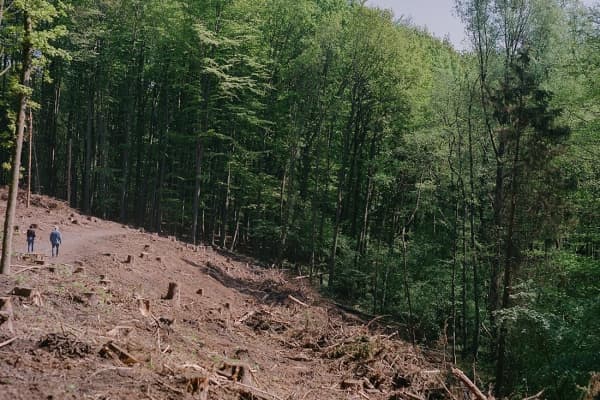  Description coming soon