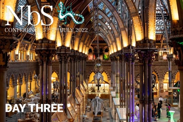  Description coming soon