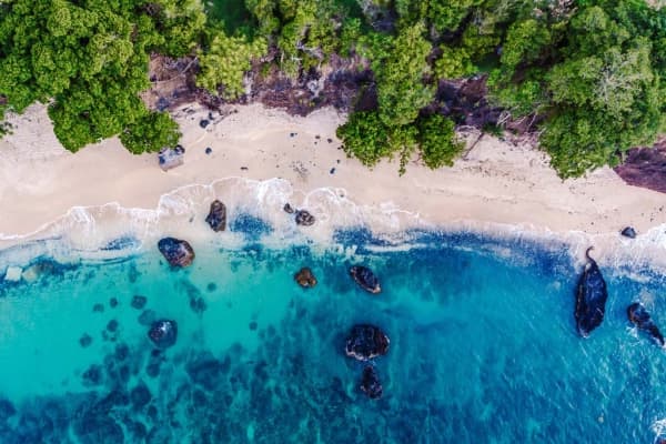  Description coming soon