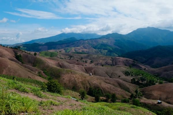  Description coming soon