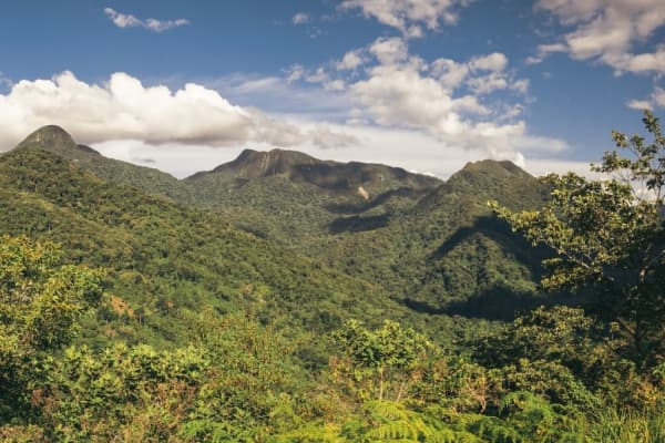  Description coming soon