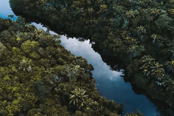  Description coming soon