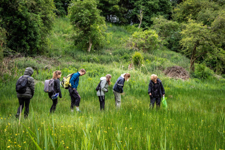 NbSI members walking looking down at the vegetation of the Lye Valley. Photo by Aline Soterroni