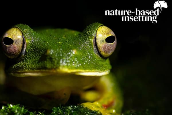  Description coming soon