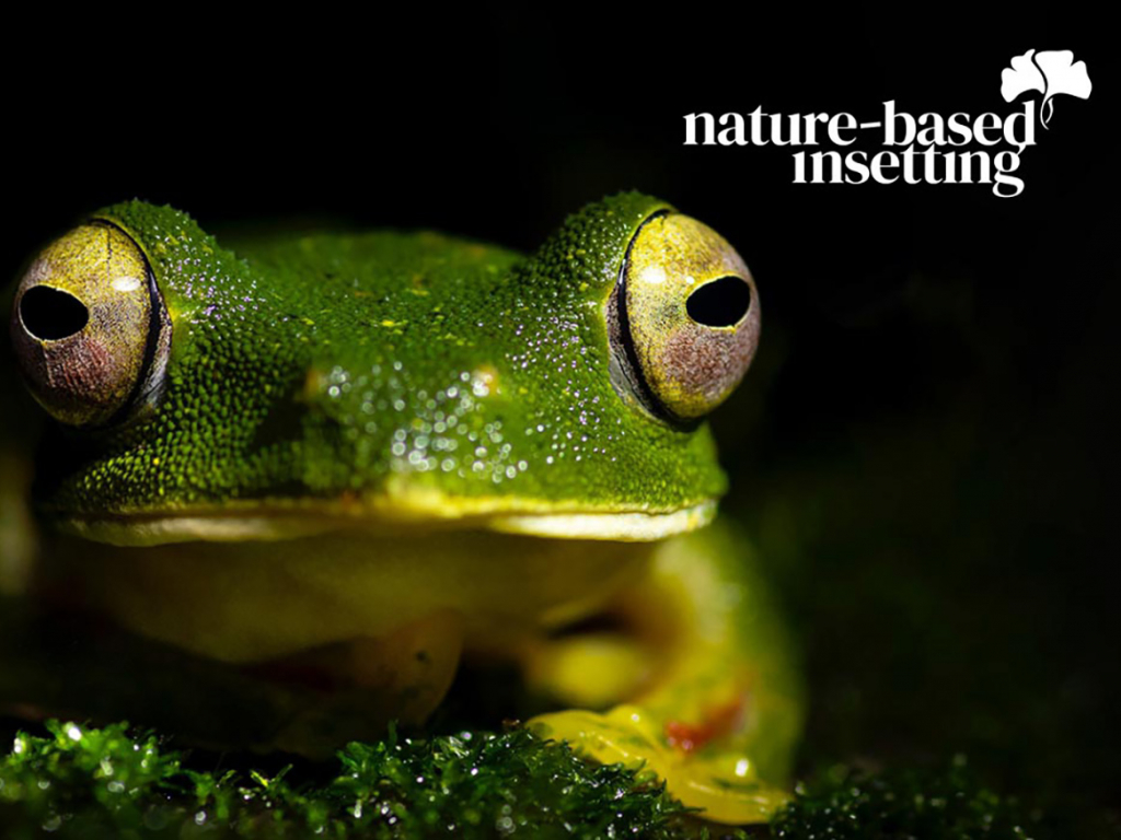 nature-based insetting logo with frog image background