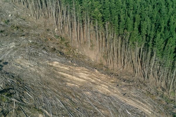  Description coming soon